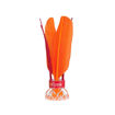 Picture of LED FLYER